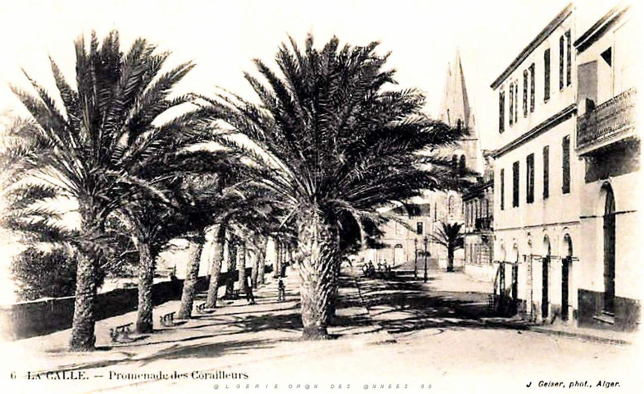 La Calle - Promenade des Corailleurs.jpg
